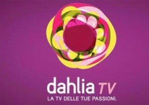Dahlia TV